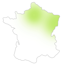 Zones d'intervention : Paris, Est de la France, Alsace, Colmar